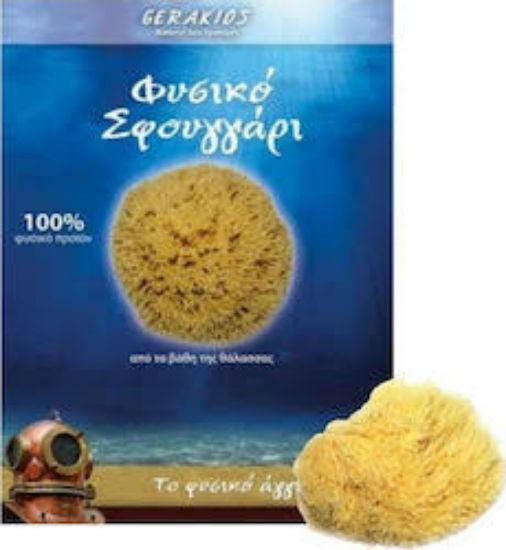 Εικόνα της GERAKIOS NATURAL SEA SPONGE N6 1TEM. - Ελληνικό 100% Φυσικό Θαλάσσιο Σφουγγάρι Νο 6 1τμχ