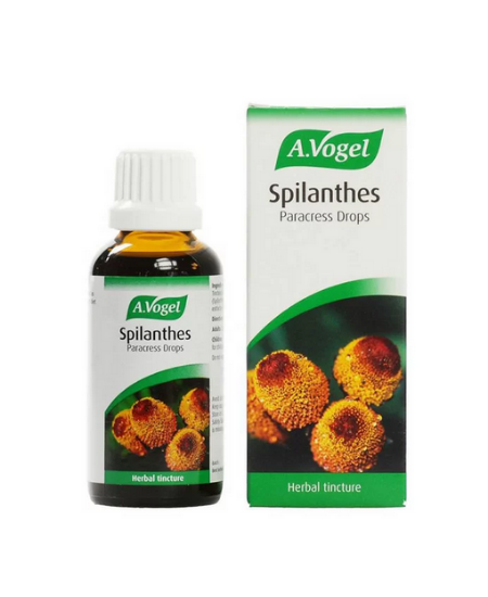 Εικόνα της A.VOGEL SPILANTHES DROPS 50ML - Φυτική Ενισχυτικό του Οργανισμού για την Καταπολέμηση των Μυκήτων Βάμμα από Φρέσκο Σπιλάνθες, 50ml