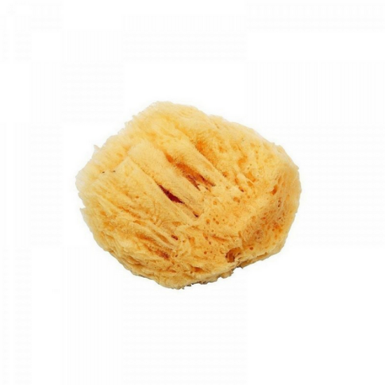 Εικόνα της GERAKIOS SEA SPONGE NATURAL 100% ΜΕΓΑΛΟ   Φυσικό Σφουγγάρι Μπάνιου Mεγαλο Μέγεθος σε Μπεζ Χρώμα 1τμχ